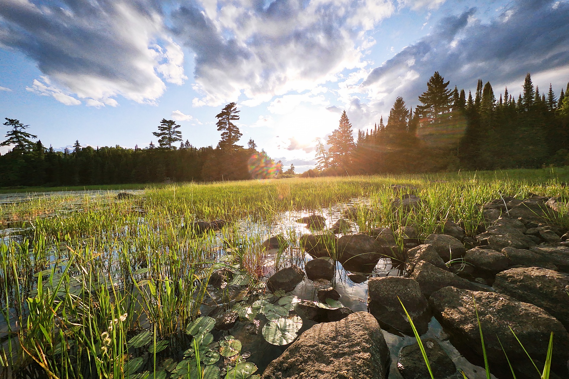 Minnesota